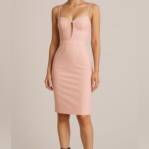 Alexander Wang Light Pink Mesh Panel‎ Bustier Corset Dress In Nectar